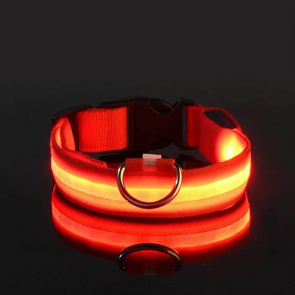 Collier Lumineux pour Chiens LED