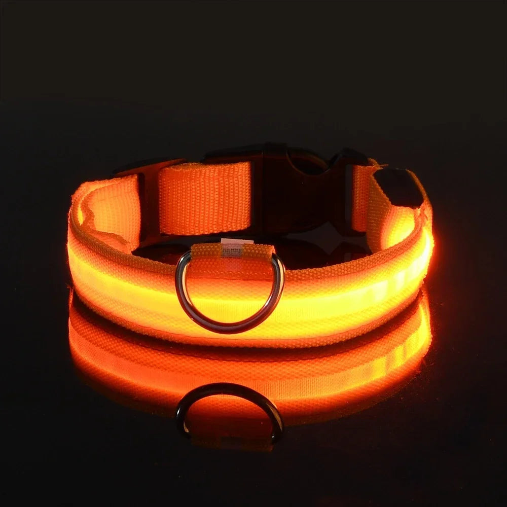 Collier Lumineux pour Chiens LED