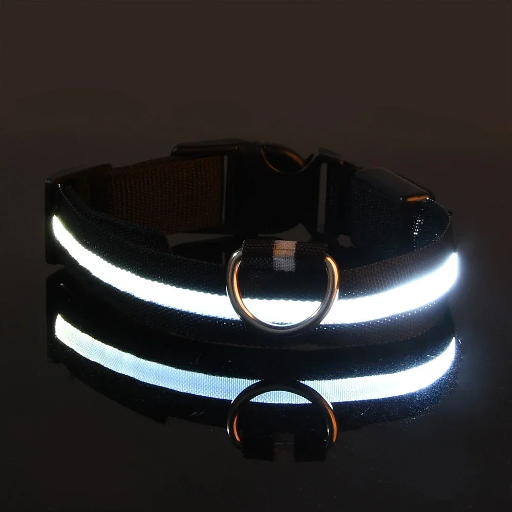 Collier Lumineux pour Chiens LED