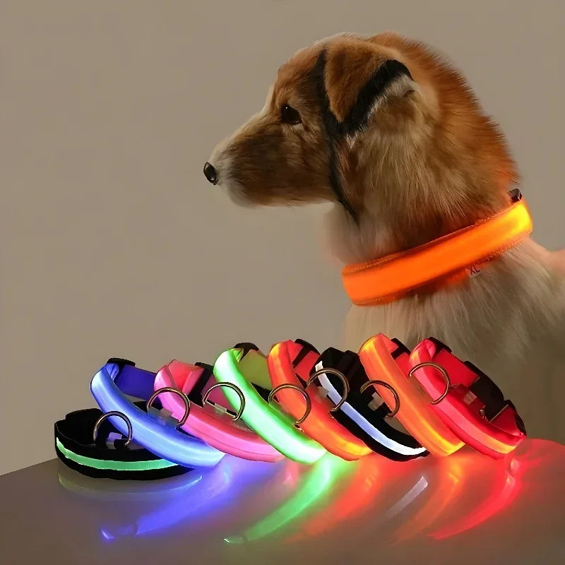 Collier Lumineux pour Chiens LED