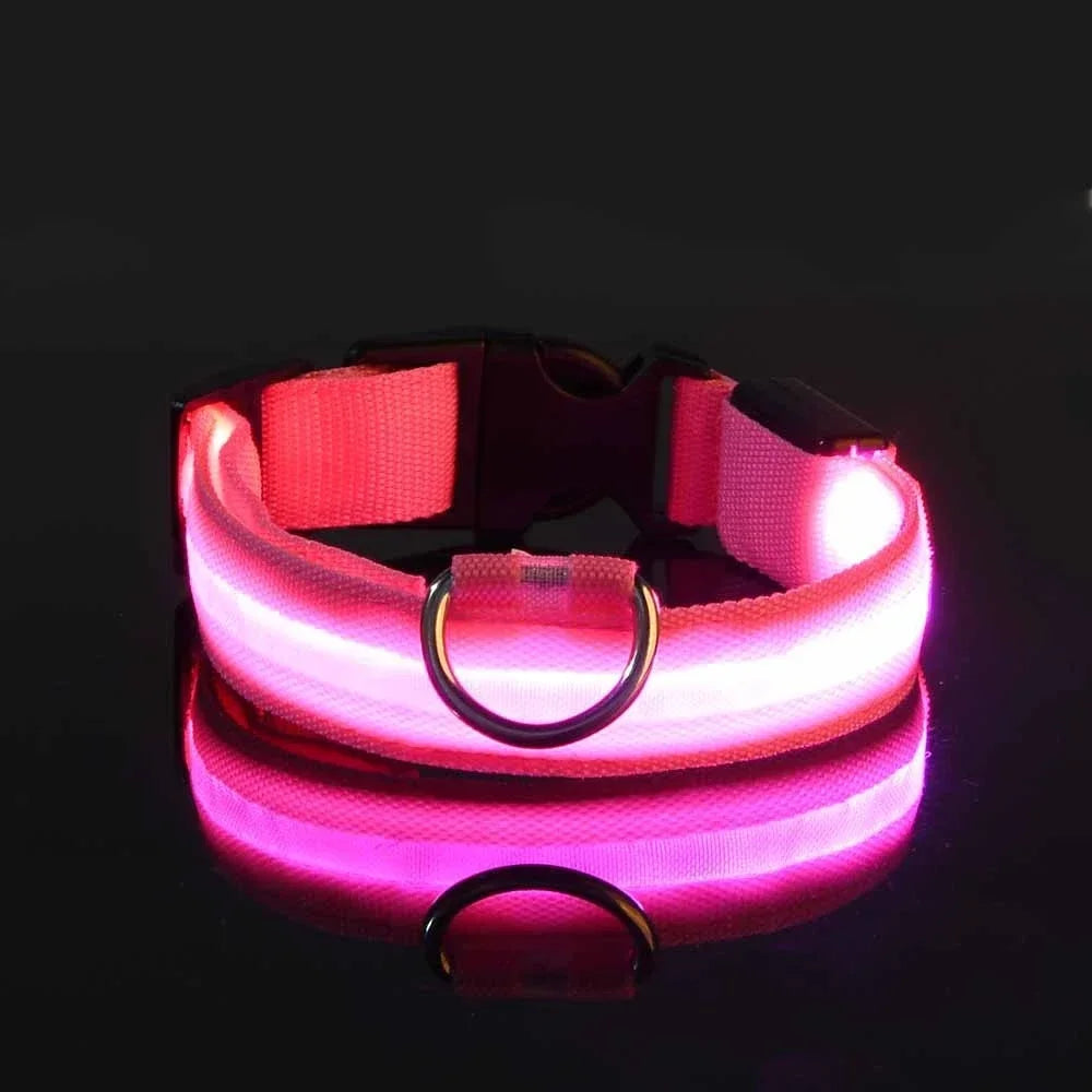 Collier Lumineux pour Chiens LED