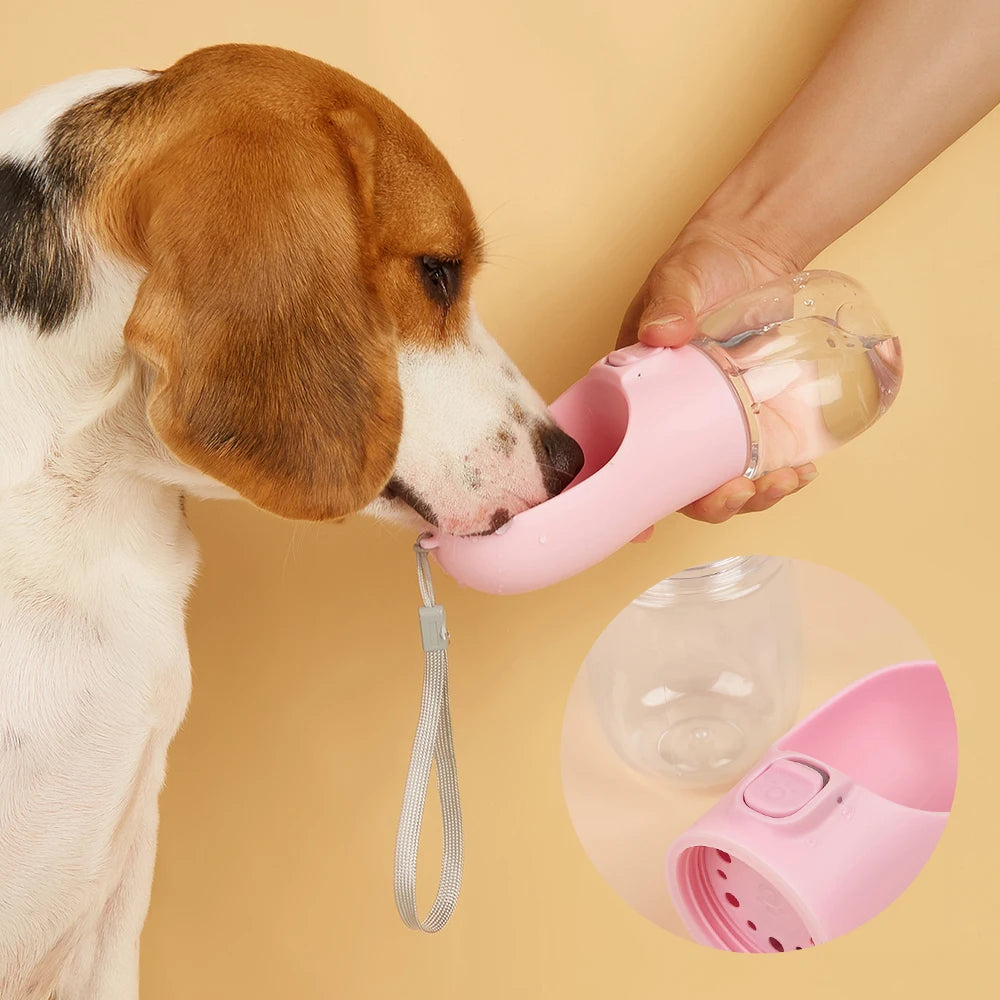 Gourde d’Eau Portable pour Chiens