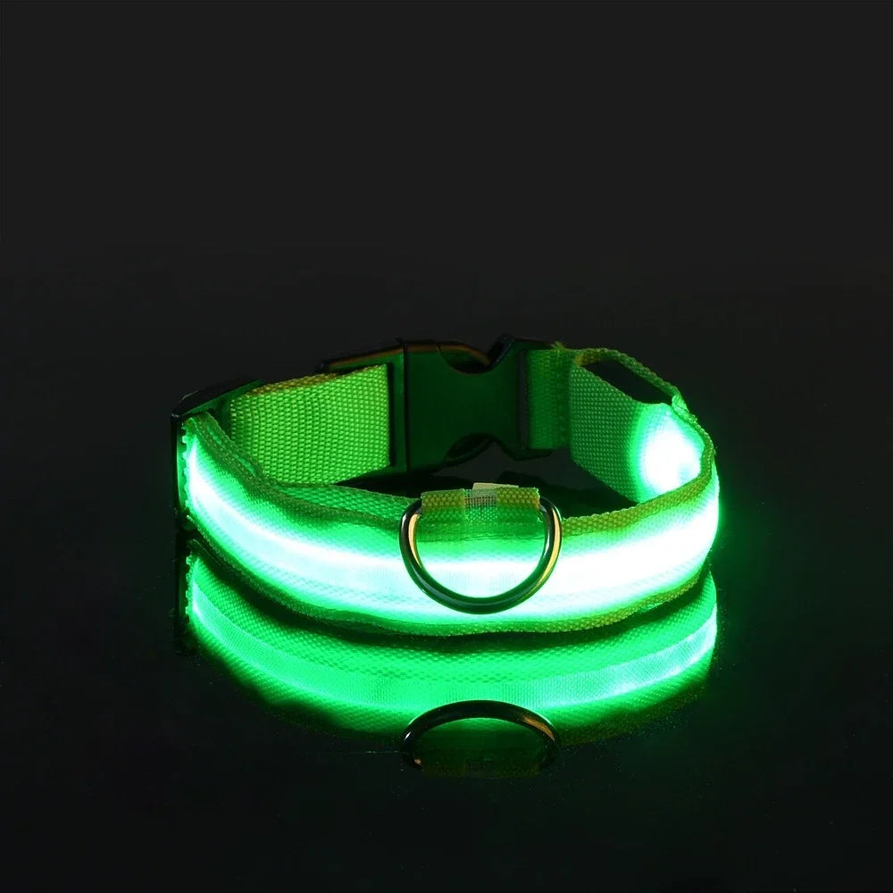 Collier Lumineux pour Chiens LED